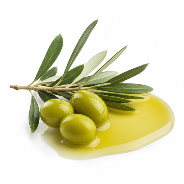 Olive Oil
